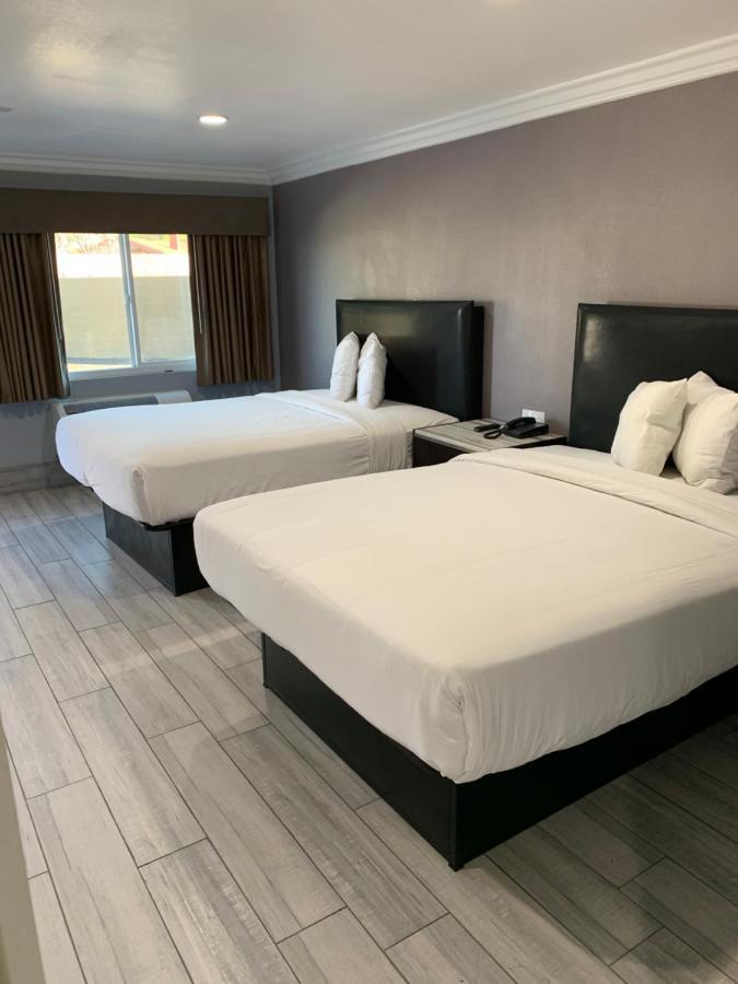 Willow Tree Inn & Suites لوس أنجلوس المظهر الخارجي الصورة